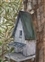 “Backyard Bird House” Watercolor & Ink Private Collection Copyright Carolyn Miller