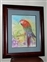 “Parrot” Pastel Hung at Three Sister’s Abbeville, S.C.Copyright Carolyn Miller