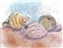 “Seashells” Watercolor & Ink on Gesso NFS Copyright Carolyn Miller