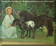 Lady Fisher & Merenita w/her foal