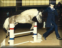 Mike jumping with handler Shari in AMHA show in New England