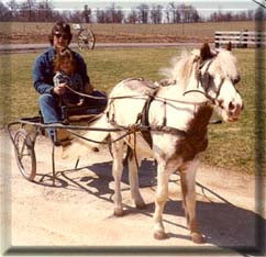 A young Sample driving