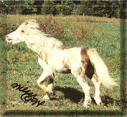 Sample over 30 chasing the wind